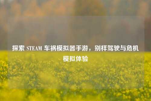 探索 STEAM 车祸模拟器手游，别样驾驶与危机模拟体验