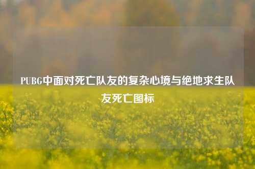PUBG中面对死亡队友的复杂心境与绝地求生队友死亡图标