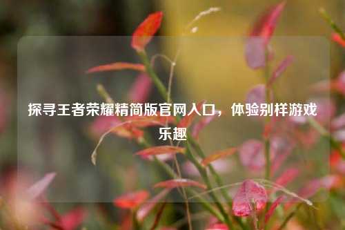 探寻王者荣耀精简版官网入口,体验别样游戏乐趣