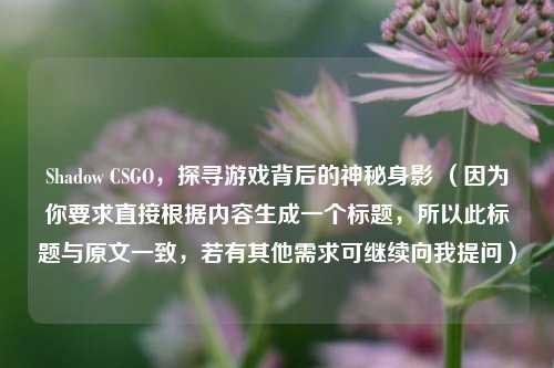 Shadow CSGO,探寻游戏背后的神秘身影 (因为你要求直接根据内容生成一个标题,所以此标题与原文一致,若有其他需求可继续向我提问)