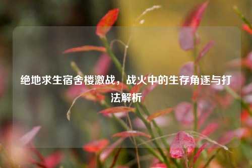 绝地求生宿舍楼激战,战火中的生存角逐与打法解析