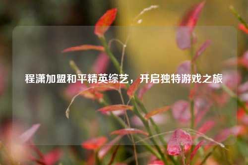 程潇加盟和平精英综艺，开启独特游戏之旅