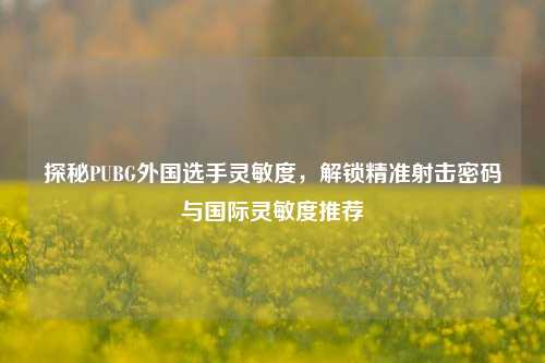 探秘PUBG外国选手灵敏度,解锁精准射击密码与国际灵敏度推荐
