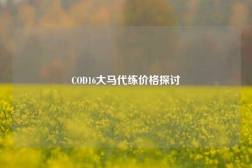 COD16大马代练价格探讨