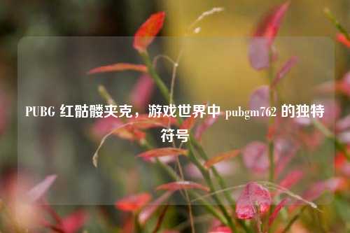 PUBG 红骷髅夹克,游戏世界中 pubgm762 的独特符号