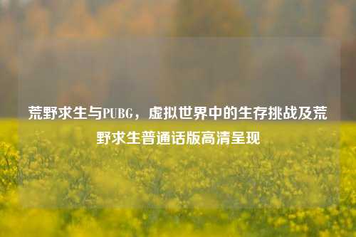 荒野求生与PUBG，虚拟世界中的生存挑战及荒野求生普通话版高清呈现