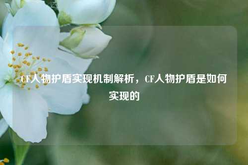 CF人物护盾实现机制解析，CF人物护盾是如何实现的