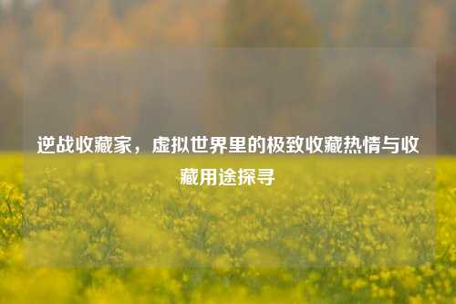 逆战收藏家,虚拟世界里的极致收藏热情与收藏用途探寻
