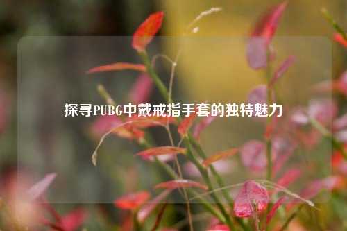 探寻PUBG中戴戒指手套的独特魅力