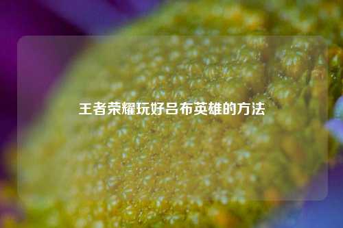 王者荣耀玩好吕布英雄的方法