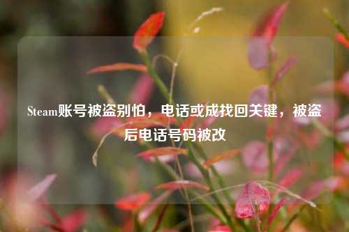 Steam账号被盗别怕，电话或成找回关键，被盗后电话号码被改