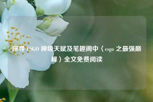 探寻 CSGO 神级天赋及笔趣阁中〈csgo 之最强巅峰〉全文免费阅读
