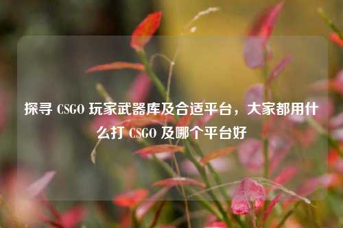 探寻 CSGO 玩家武器库及合适平台,大家都用什么打 CSGO 及哪个平台好