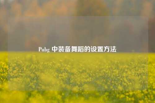 Pubg 中装备舞蹈的设置方法