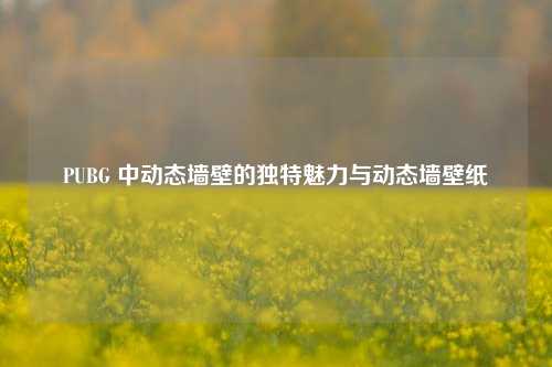 PUBG 中动态墙壁的独特魅力与动态墙壁纸