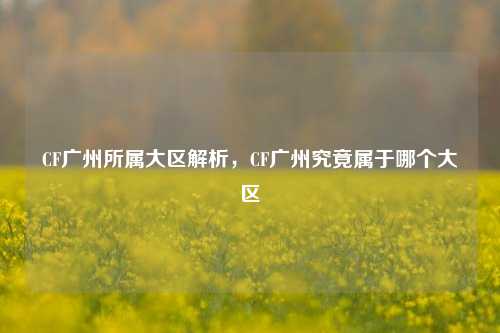 CF广州所属大区解析,CF广州究竟属于哪个大区