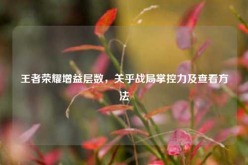 王者荣耀增益层数，关乎战局掌控力及查看方法