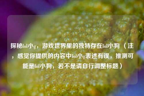 探秘lol小g，游戏世界里的独特存在lol小狗 （注，感觉你提供的内容中lol小g表述有误，推测可能是lol小狗，若不是请自行调整标题）