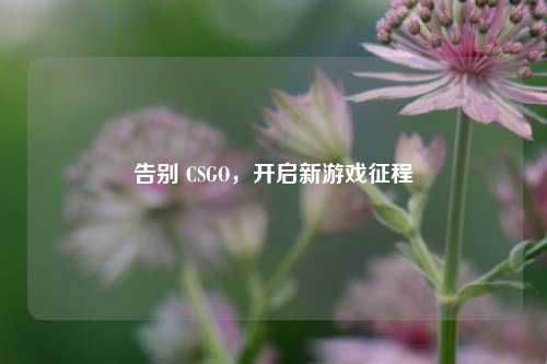 告别 CSGO,开启新游戏征程