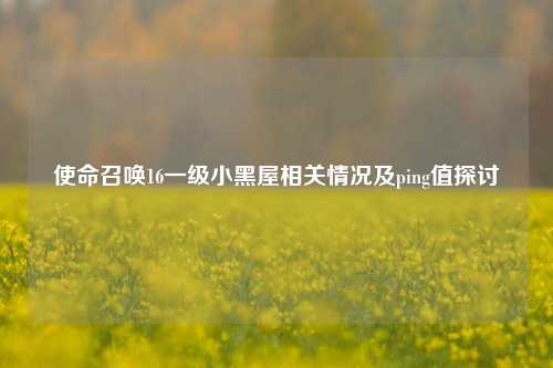 使命召唤16一级小黑屋相关情况及ping值探讨