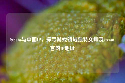 Steam与中国IP,探寻游戏领域独特交集及steam官网IP地址