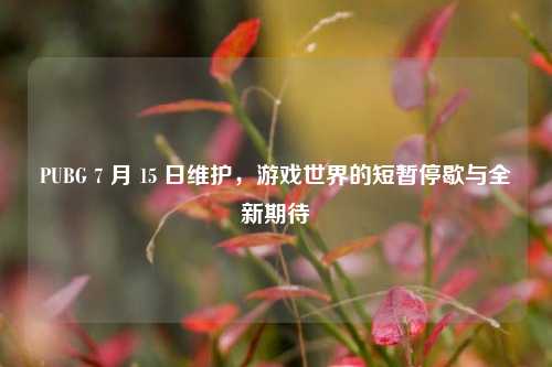 PUBG 7 月 15 日维护，游戏世界的短暂停歇与全新期待