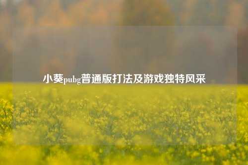 小葵pubg普通版打法及游戏独特风采