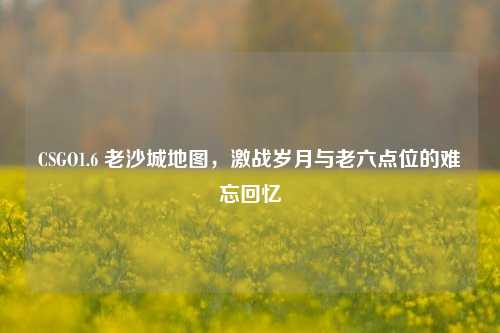 CSGO1.6 老沙城地图，激战岁月与老六点位的难忘回忆