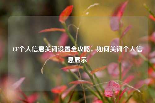 CF个人信息关闭设置全攻略,如何关闭个人信息显示