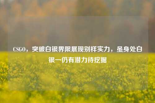 CSGO,突破白银界限展现别样实力,虽身处白银一仍有潜力待挖掘