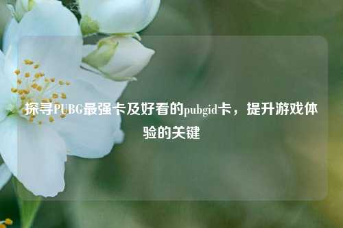 探寻PUBG最强卡及好看的pubgid卡，提升游戏体验的关键