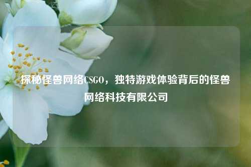 探秘怪兽网络CSGO,独特游戏体验背后的怪兽网络科技有限公司