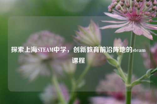 探索上海STEAM中学，创新教育前沿阵地的steam课程