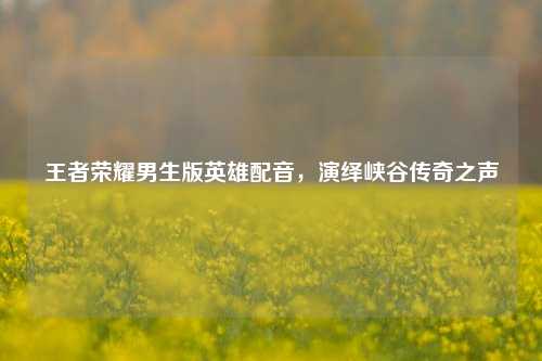 王者荣耀男生版英雄配音,演绎峡谷传奇之声