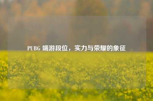 PUBG 端游段位，实力与荣耀的象征