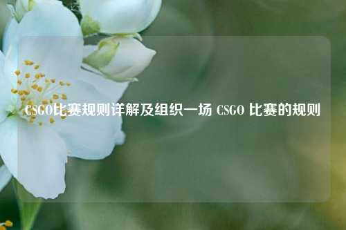 CSGO比赛规则详解及组织一场 CSGO 比赛的规则