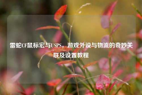 雷蛇CF鼠标宏与USPS,游戏外设与物流的奇妙关联及设置教程