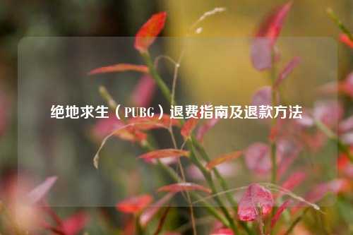 绝地求生（PUBG）退费指南及退款方法