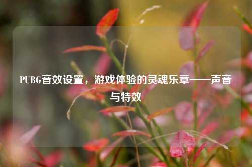 PUBG音效设置,游戏体验的灵魂乐章——声音与特效