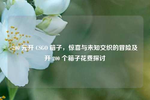 200 元开 CSGO 箱子,惊喜与未知交织的冒险及开 200 个箱子花费探讨