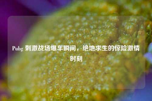 Pubg 刺激战场爆车瞬间，绝地求生的惊险激情时刻