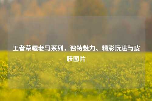 王者荣耀老马系列，独特魅力、精彩玩法与皮肤图片