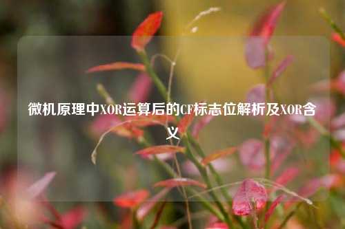 微机原理中XOR运算后的CF标志位解析及XOR含义