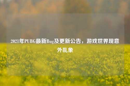 2021年PUBG最新Bug及更新公告,游戏世界现意外乱象