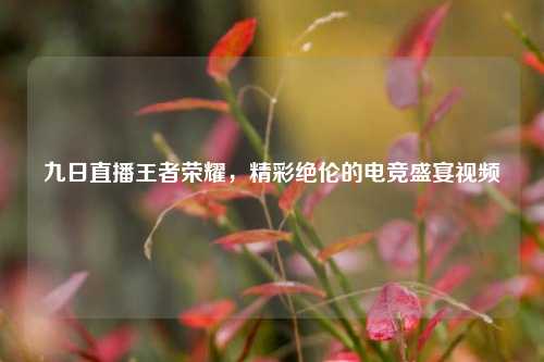 九日直播王者荣耀，精彩绝伦的电竞盛宴视频