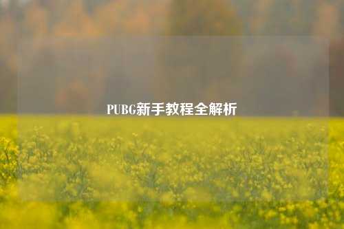 PUBG新手教程全解析