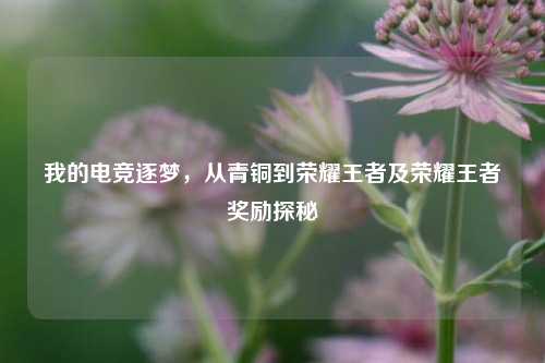 我的电竞逐梦,从青铜到荣耀王者及荣耀王者奖励探秘
