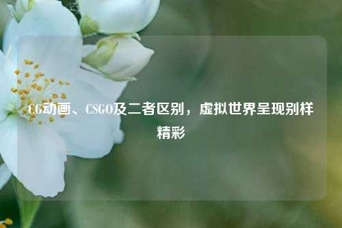 CG动画、CSGO及二者区别,虚拟世界呈现别样精彩