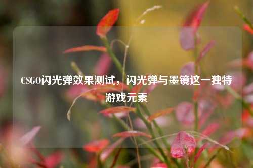 CSGO闪光弹效果测试，闪光弹与墨镜这一独特游戏元素