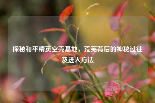 探秘和平精英空壳基地，荒芜背后的神秘过往及进入方法